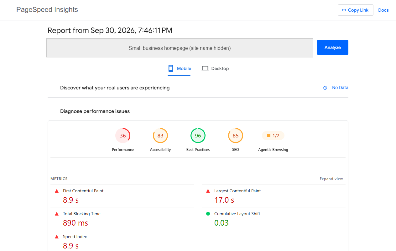 PageSpeed Insights mobile report for a small business homepage, showing the Core Web Vitals section with no field data and the performance score